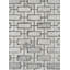 Carreau de mosaïque 12 po x 12 po