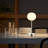 Metal Desk Lamp-1681042928