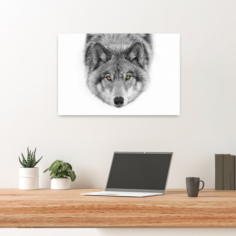 Print, 40.64cm H x 60.96cm W