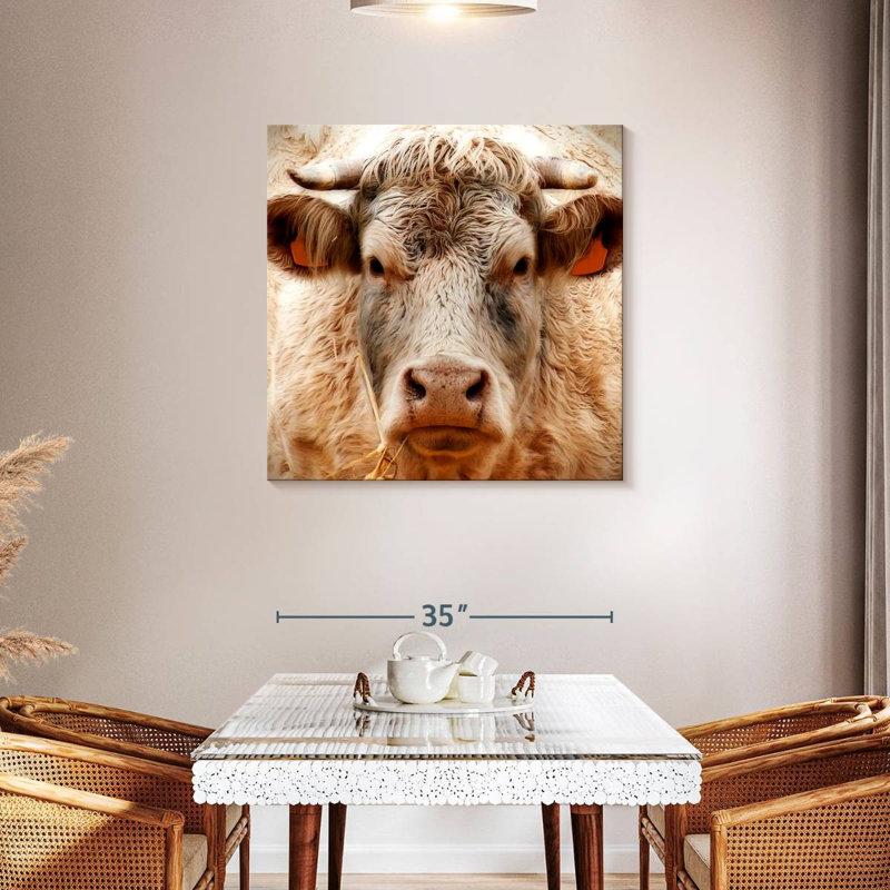 Brampt Mighty Bull, 36" H x 36" W