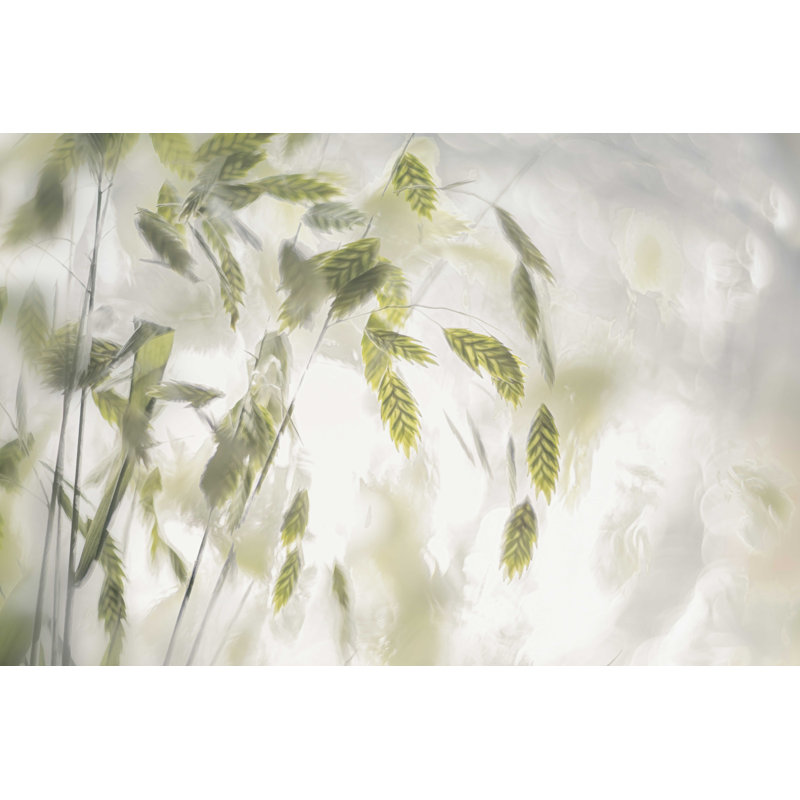 Reproduction sur toile tendue Eseli Talen, H 8 po x l 12 po