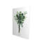 Ensemble de persil attaché - fr | Décoration de cuisine-119180670-119180671
