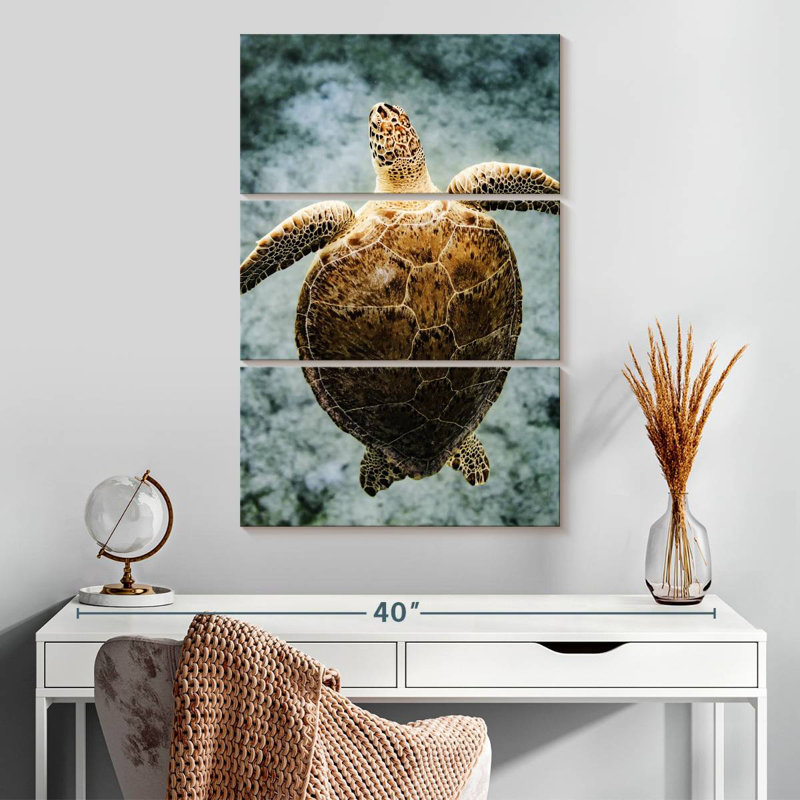 Brampt Virgin Islands Turtle, 32" H x 20" W