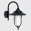 Springvale Black/Transparent Outdoor Wall Lantern