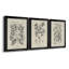 Antique Black and White Botanical VII - Ensemble de 3 peintures sur toile encadrées-1460172362-1460172369
