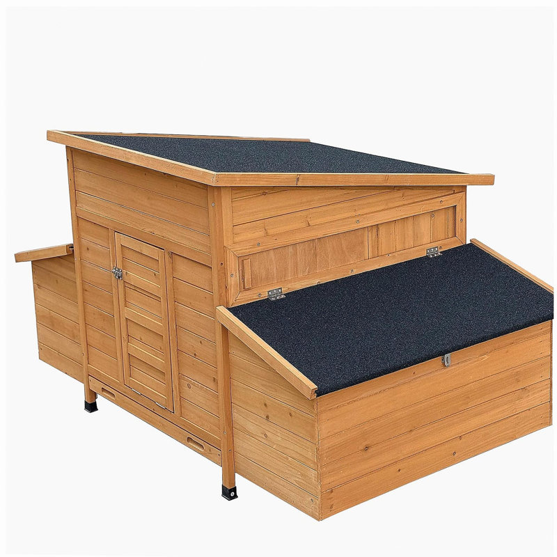 chicken coop
