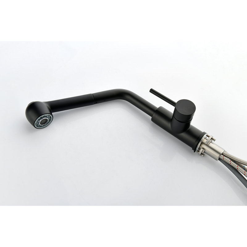 Robinet d'évier de cuisine à poignée simple avec douchette extractible, Noir mat