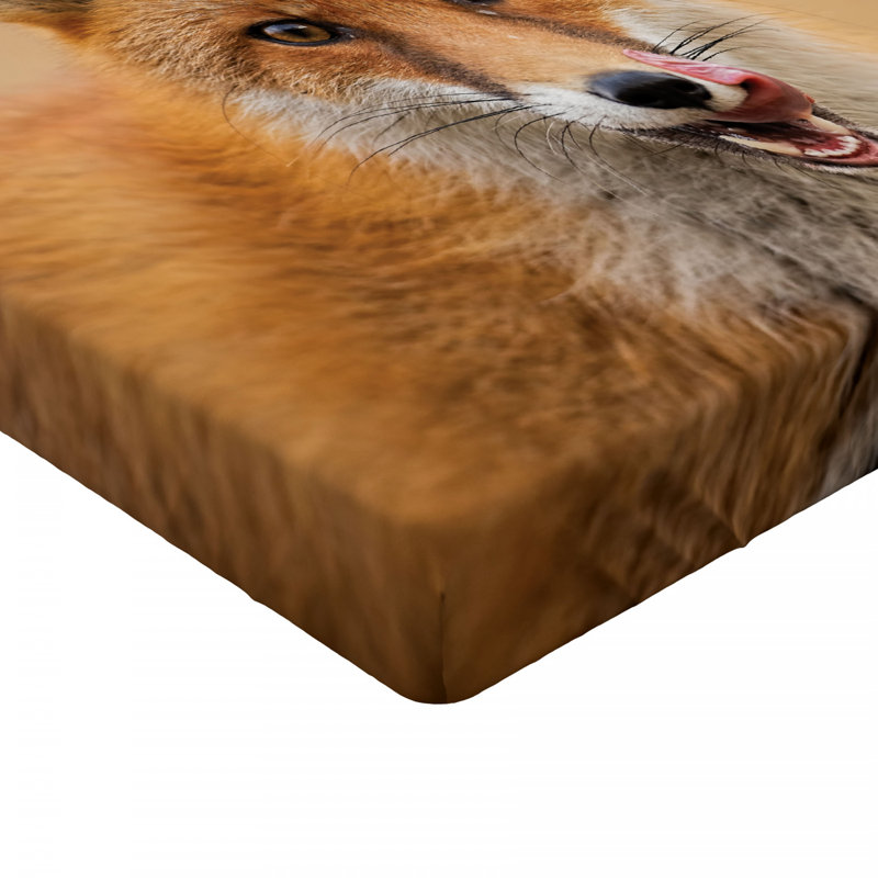 Microfiber Fitted Sheet, Full Fitted Sheet