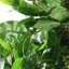 120cm Faux Ficus Tree in Metal Planter-113668803