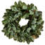 Couronne de magnolia 26 po et d'eucalyptus 26 po