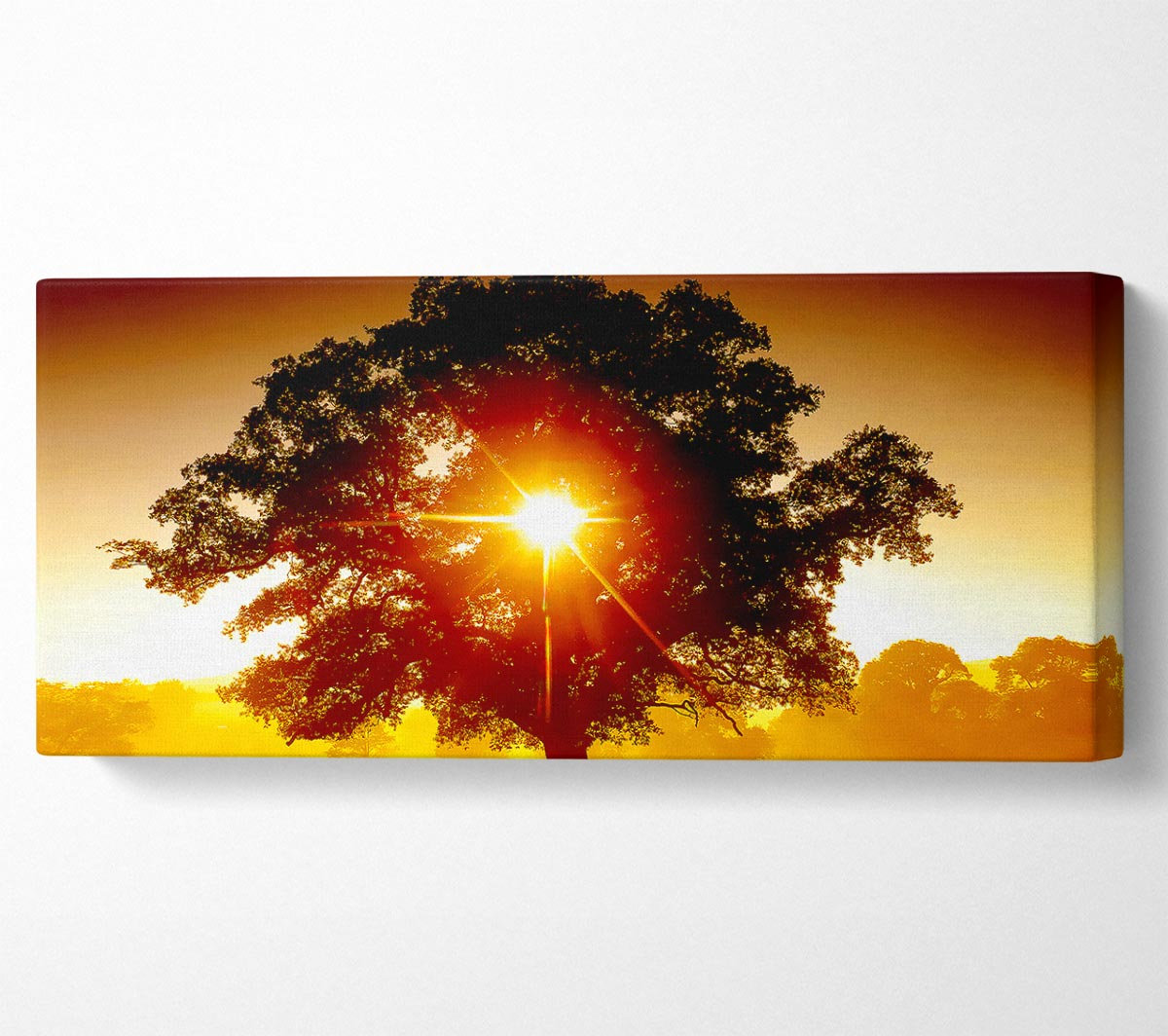 Ebern Designs Sun Through The Tree - Print | Wayfair.co.uk