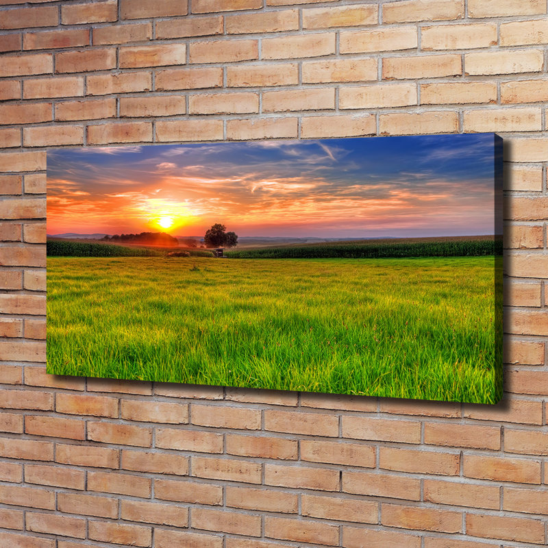Sunset Meadow - Wrapped Canvas Print