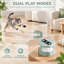 Indoor Interactive Cat Toy