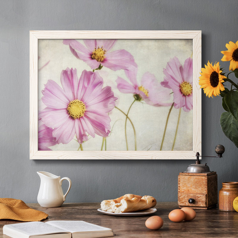 Pink Cosmos I - Toile tendue avec châssis rustique, H 14 po x l 20 po x P 1,5 po, Blanc