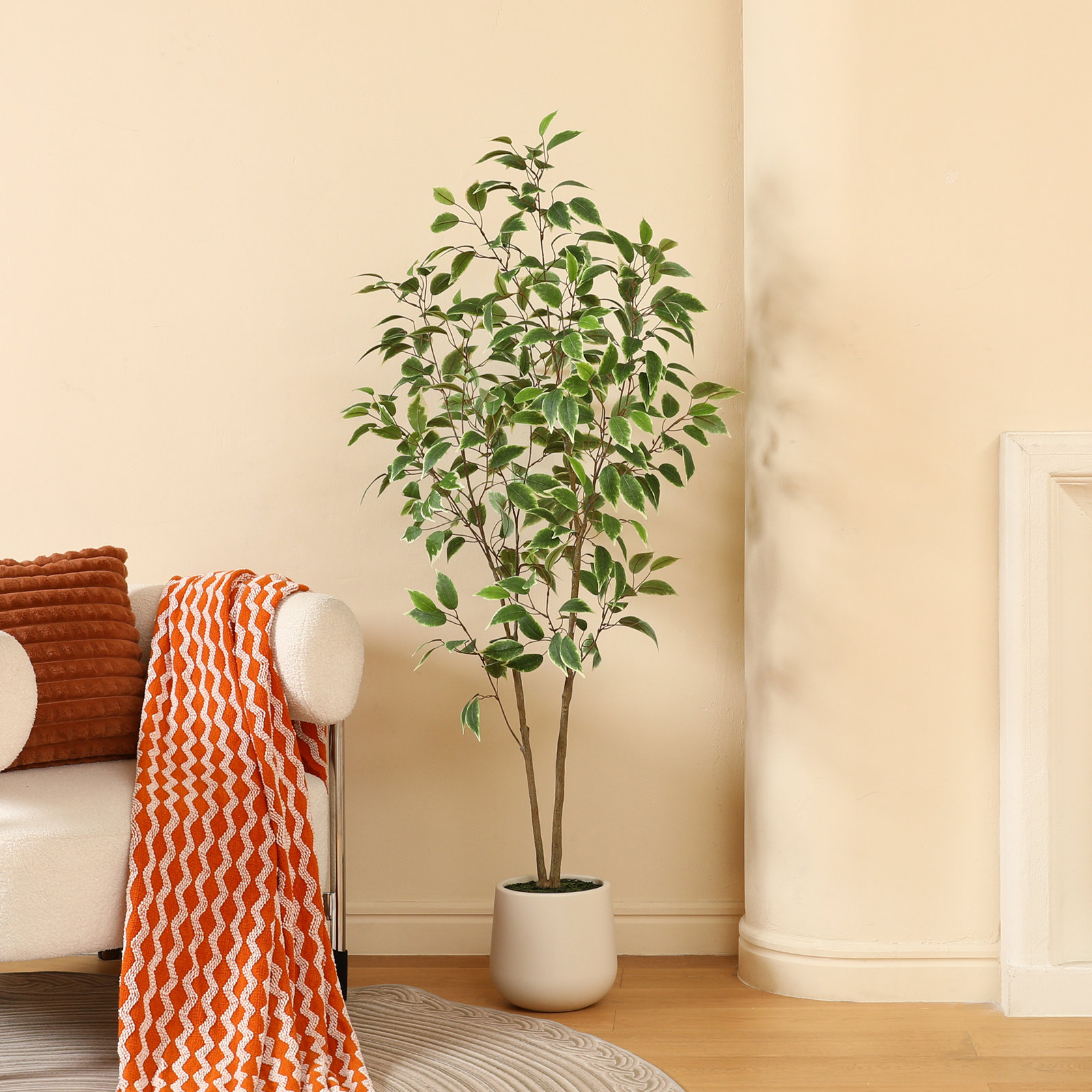 Adcock Ficus Tree in Pot, 60" H x 20" W x 20" D
