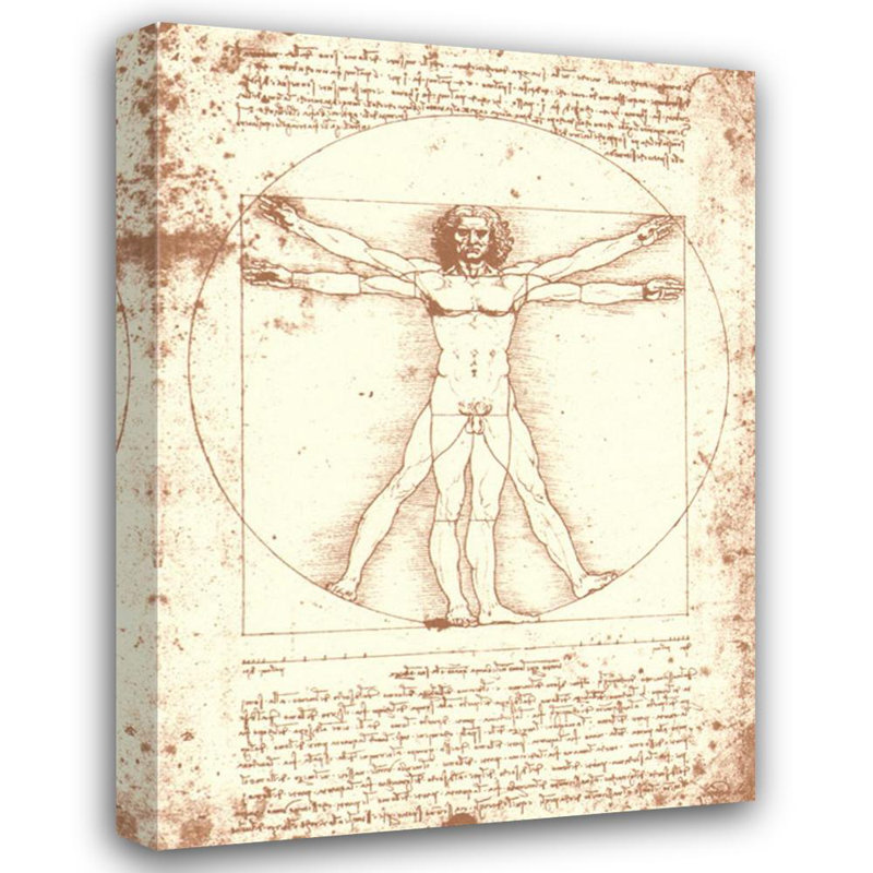 The Vitruvian Man, 18" H x 13" W