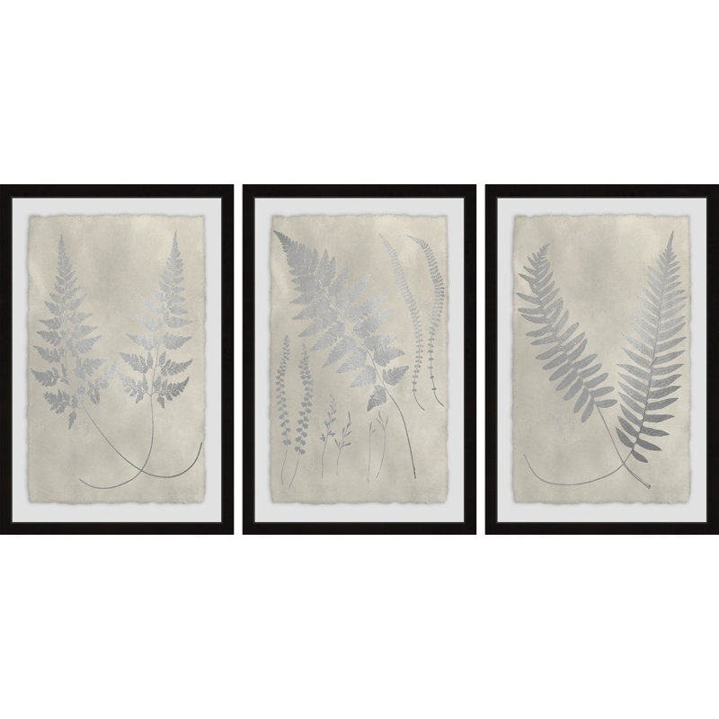 Étude de fougères rétro V - ensemble de 3 reproductions de dessins sur papier, H 45 po x l 30 po