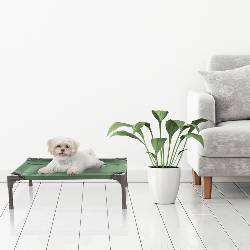 Lit surélevé pour chien PETMAKER 62 x 47 cm - Lit pour petits chiens, vert, Petit (l 24 po x P 18 po x H 7 po), Vert