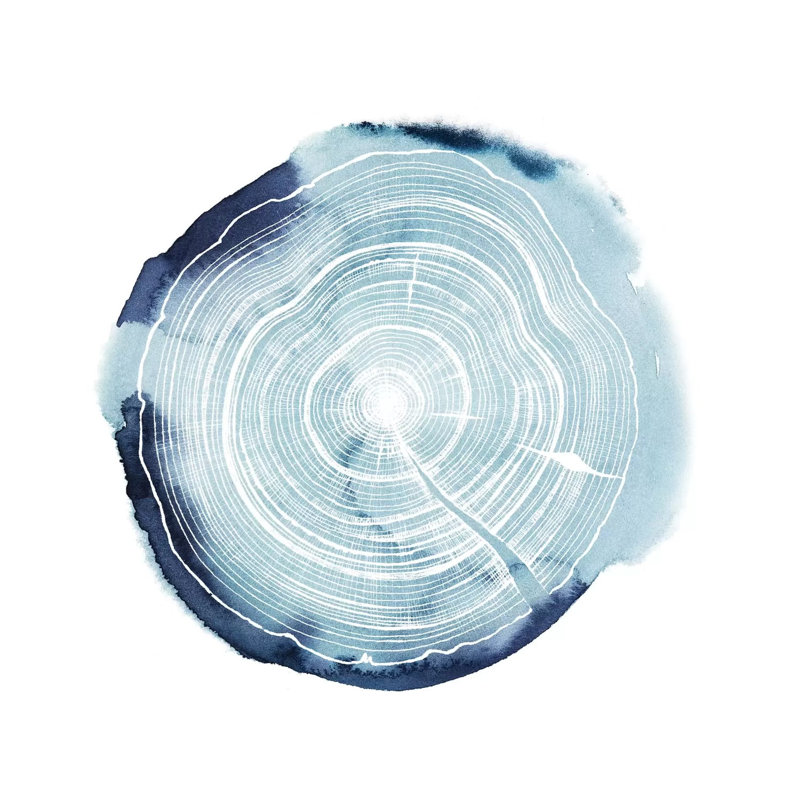Tree Ring Overlay III by Grace Popp - Gallery-Wrapped Canvas Giclée on Canvas, 45.72 cm H x 45.72 cm W x 1.91 cm D