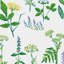 Boråstapeter Köksväxter Wallpaper