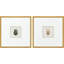 Beetles S/2 Print by Nai Paragon
