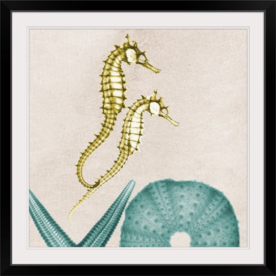 «Under the Sea II X-Ray» par Albert Koetsier, reproduction de photo