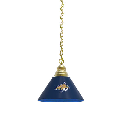 1 - Light Single Pendant