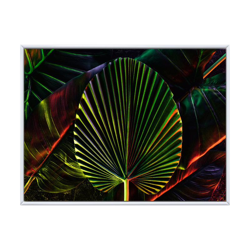 Feuilles tropicales ton sur ton noir I - peinture sur toile, H 34 po x l 44 po, Cadre flottant blanc