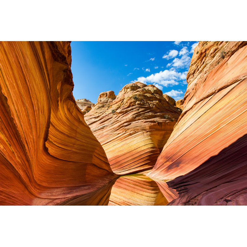 The Wave, Arizona by Ronnybas - Wrapped Canvas Print, 81cm H x 122cm W