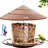 Dinyu Hanging-1662722687