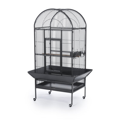 Grande cage à oiseaux Brewington