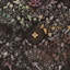 Tapis ikat Andy Performance-33000876