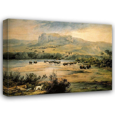 Alcott Hill® Bodmer, art sur toile tendue par la galerie Karl: Paysage avec des buffles dans le Missouri supérieur