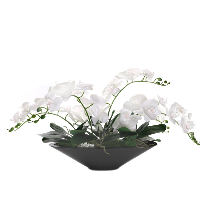 Orchid Arrangement in Pot