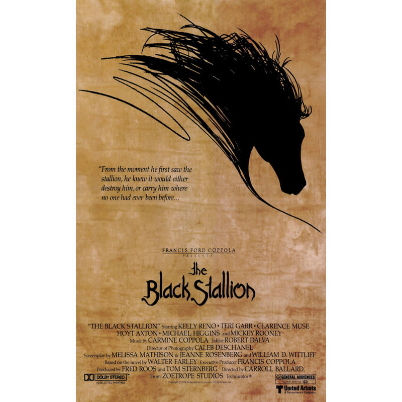 The Black Stallion