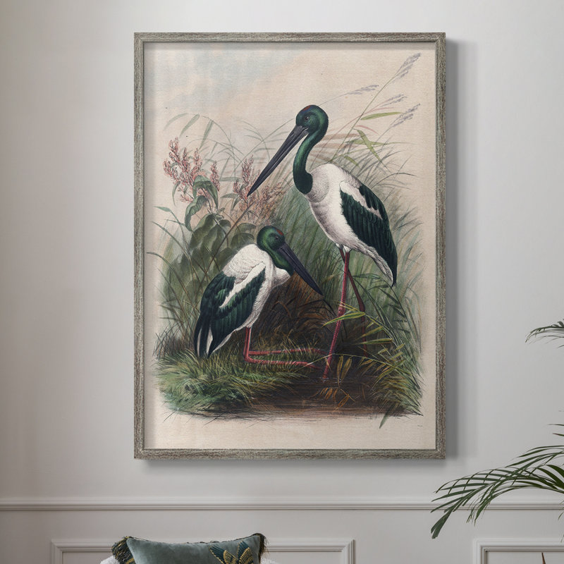 «Vintage Animal Print», reproduction encadrée en bois massif, H 30 po x l 24 po