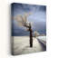 Impression d'art mural éthéré, arbre blanc, route, éthéré, paysage serein, nature-1747400084