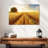 Harnek Golden Wheat Fields-106818098