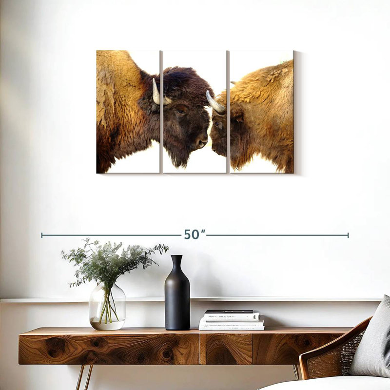Bramison Bisons I, H 20 po x l 33 po
