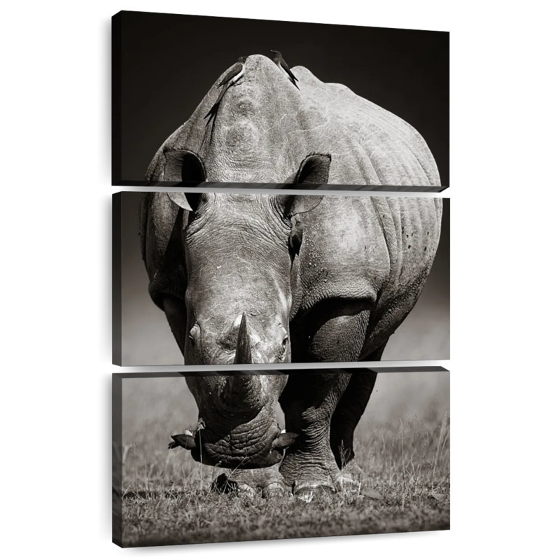 Rhinocéros africain blanc Brampt, H 32 po x l 20 po