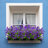 Mixed Arrangement-1398364672