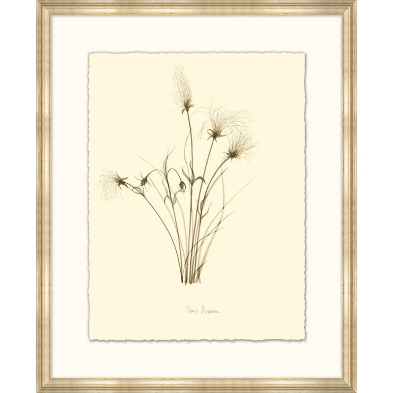 Prairie Smoke Painting
