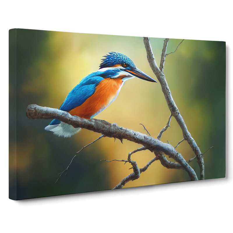 Cool Kingfisher Bird - Wrapped Canvas, 40cm H x 60cm W x 3cm D