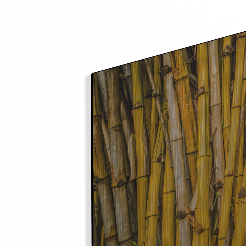 «Bamboo» par Mark A Paulda, H 12 po x l 16 po