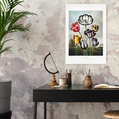 Tulipes du temple de Flora, art de paysage de tulipes rustiques rétro colorées