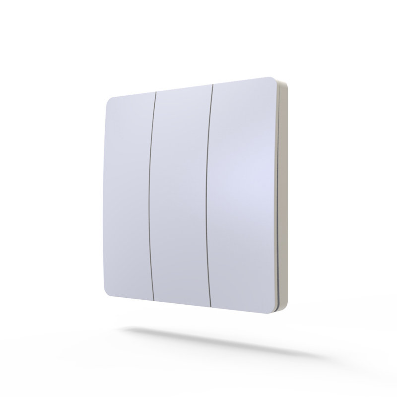 Ainura Wall Mounted Light Switch