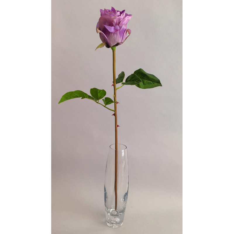 TIGE DE ROSE FRAÎCHEUR AU TOUCHER 25'', Purple