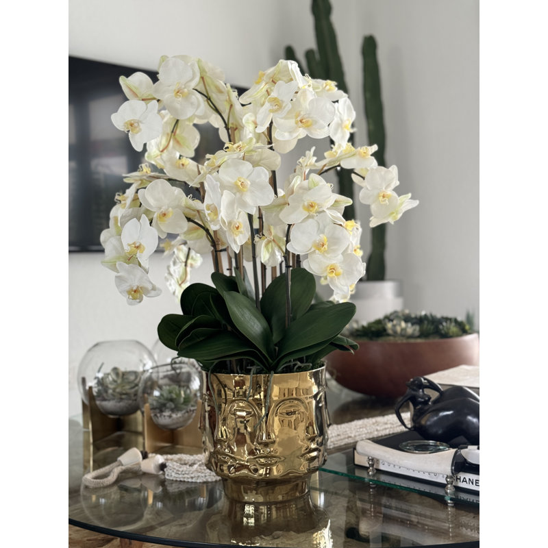 Orchid Floral Arrangement in Vase