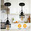 Mini-luminaire suspendu cage à ressort 1 lumière industrielle (ampoule non incluse)