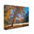 Wrapped Canvas selected